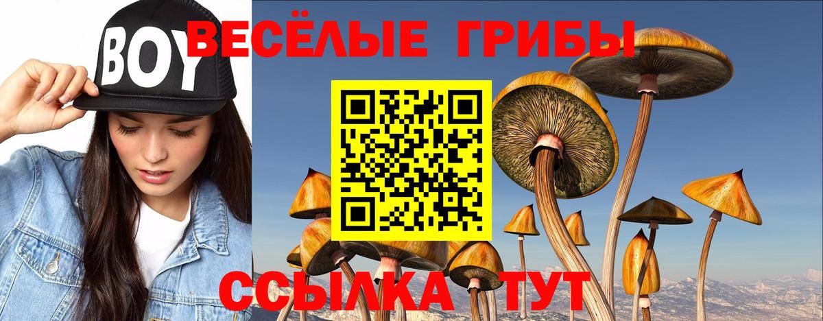Галлюциногенные грибы Magic Shrooms Ишимбай