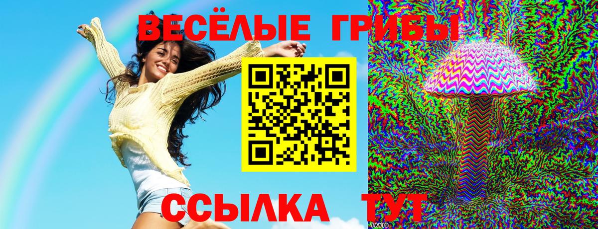 Галлюциногенные грибы MAGIC MUSHROOMS  Вход с VPN  Ишимбай 